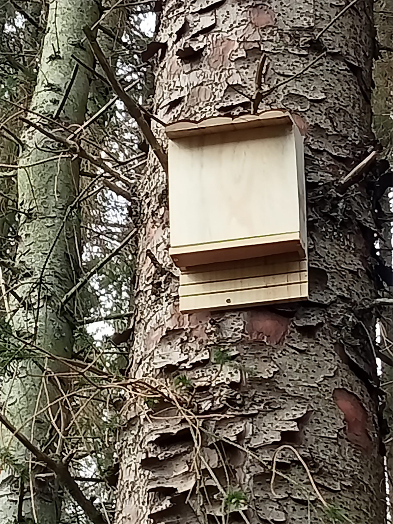 Bat Boxes